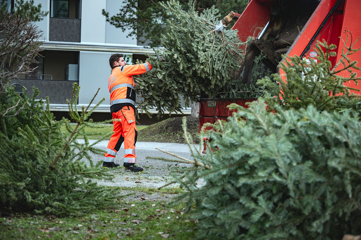 Christbaumabholung der IKB